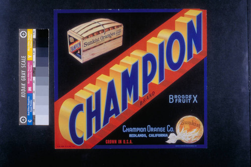 Champion brand