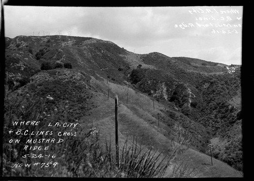 Big Creek Transmission Line Right of Way near Mile 218. Tower 3