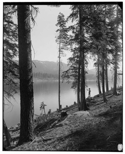 Big Creek Huntington Lake Dams