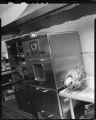 Woman cooking turkey in an electric oven