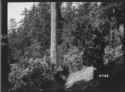 Big Creek, Shaver Lake Dam - Shaver Project