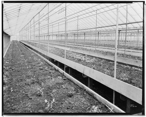 N1 - Nurseries & Soil Heating - Greenhouse