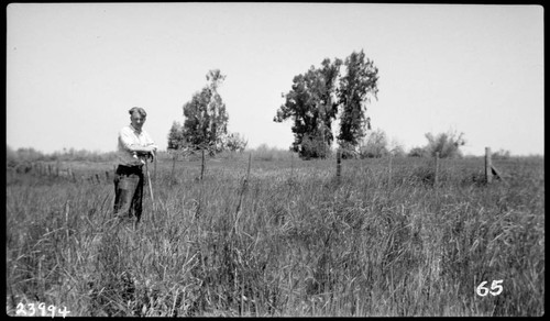 Big Creek, Herminghaus Ranch