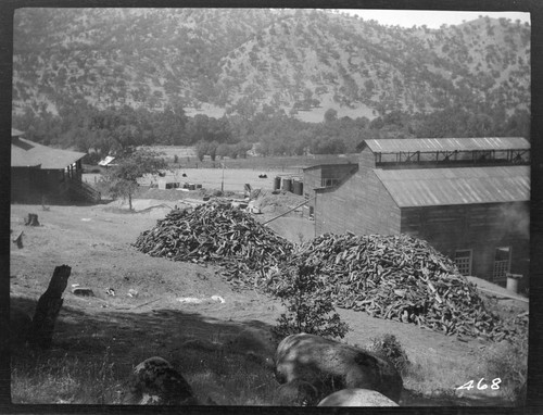 The power house and construction yard at Tule Plant