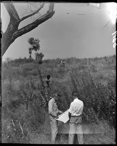 Surveyors working in a transmission line corridor