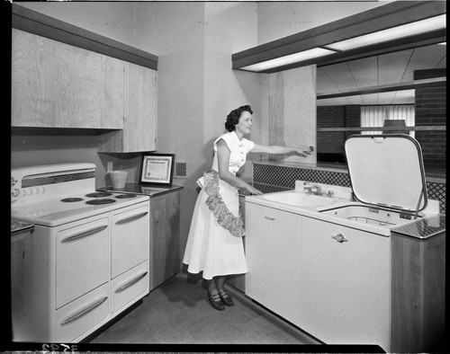 Modern kitchen with electric range and dishwasher