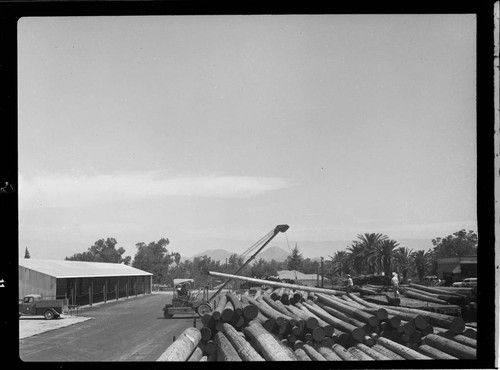 Loading poles on trucks at CEP Pole Yard