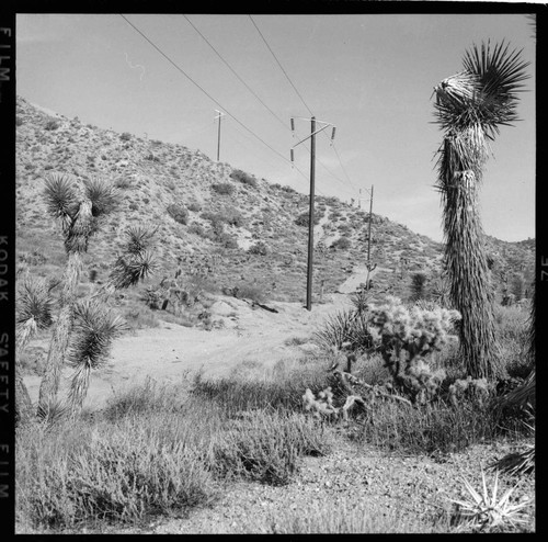 Construction of distribution line