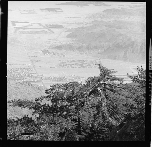 Palm Springs Aerial Tramway