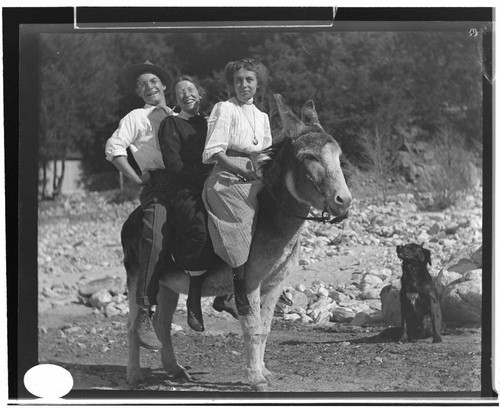 Two young women and a man riding a mule with a black dog by its side