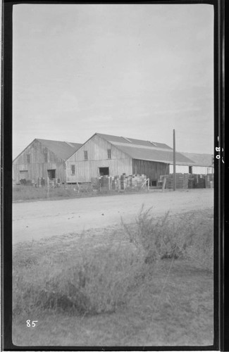 Three-quarters view of packing houses in Porterville, November 30, 1904