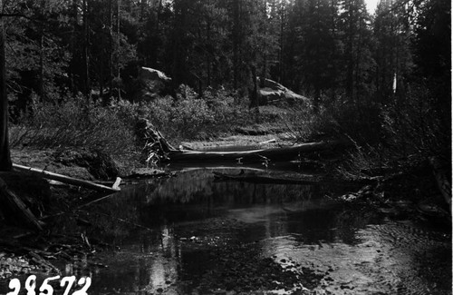 Big Creek, Fish Valley