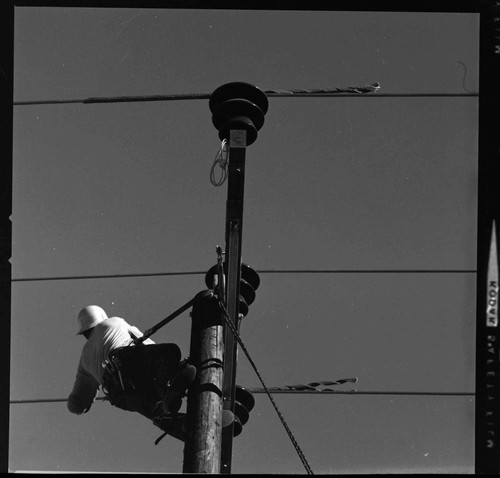 Distribution line construction