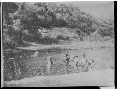 Edison surveyors on horseback fording Kern River at Low Water