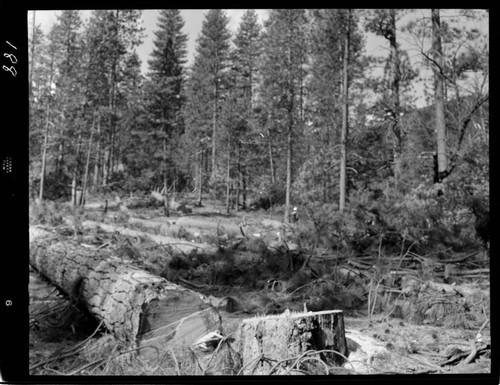 Big Creek - Mammoth Pool - Borrow Pit No. 2 where haul roads enter