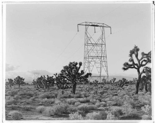 Vincent Transmission Line