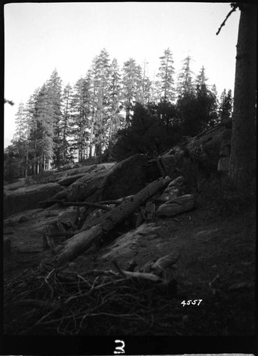 Big Creek, Shaver Lake Dam - Shaver Project