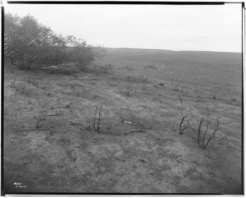 Distribution Lines - Malibu fire area