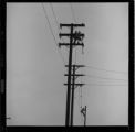 Linemen stringing conductors on power poles. ; Electric cooking promotional shots. ; Kids going to school camp