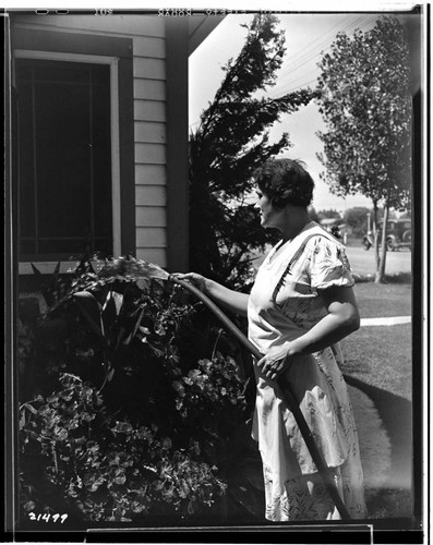 Mrs. _ sprinkling for fair exhibit