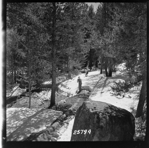 Big Creek General - Crater Creek Diversion