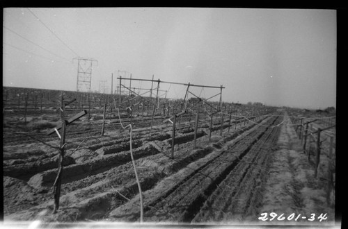 Magunden-Mesa Transmission Line