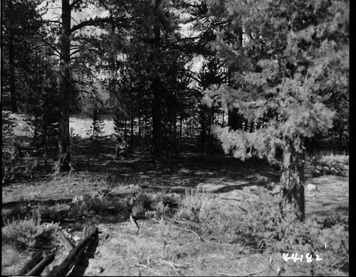 Big Creek, Vermilion Dam