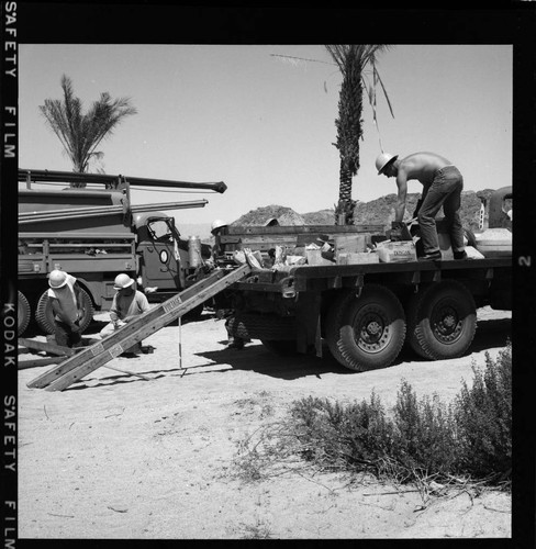 Palm Springs distribution line construction