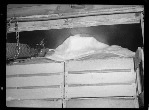 Packing shipment with crushed ice