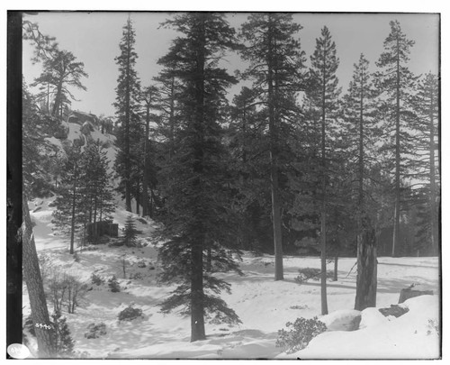 Big Creek, Shaver Lake Dam