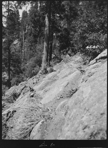 Big Creek, Shaver Lake Dam - Shaver Project