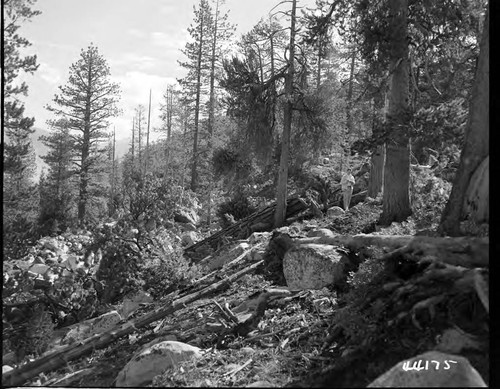 Big Creek, Vermilion Dam - East abutment