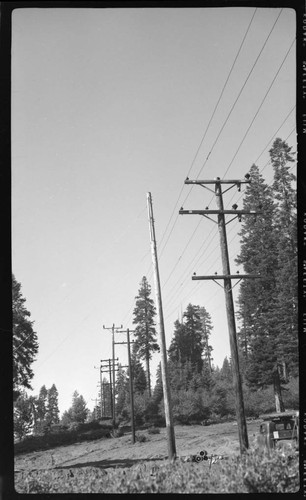 Distribution line through forest