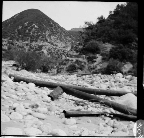A Santa Ana River Canyon scene