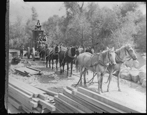 A team of horses hauling transformers to Kaweah #2 Hydro Plant