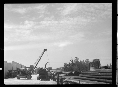 Loading poles on trucks at CEP Pole Yard