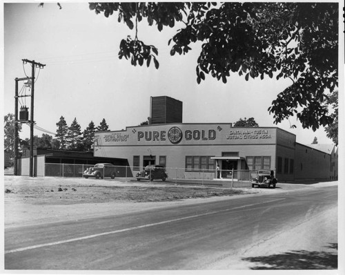 Tustin plant of the Mutual Citrus Association installed new waxing and wrapping machines in 1938