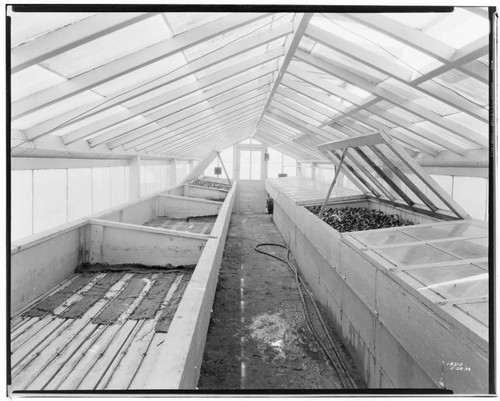 N1 - Nurseries & Soil Heating - Greenhouse