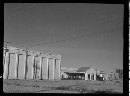 Imperial Ice Plant