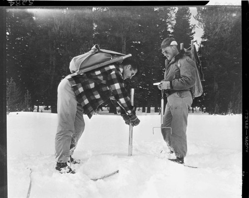 Big Creek snow survey. Close up of men forcing snow