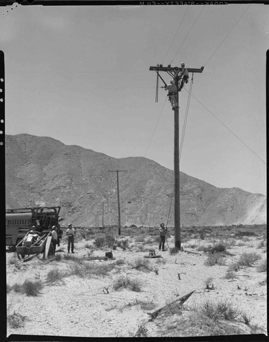 Palm Springs distribution line construction