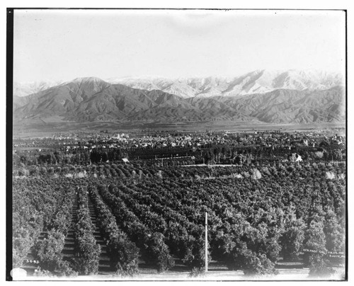 View of Redlands from Smiley heights