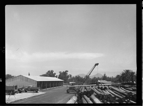 Loading poles on trucks at CEP Pole Yard