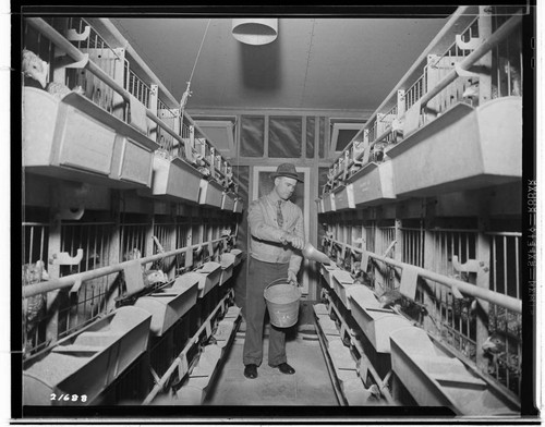 Poultry Book - Busse Ranch