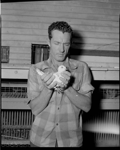 Man holding a pigeon