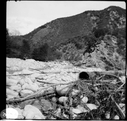 A Santa Ana River Canyon scene