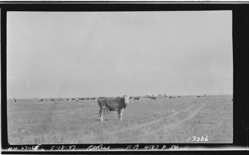 Big Creek, Herminghaus Ranch