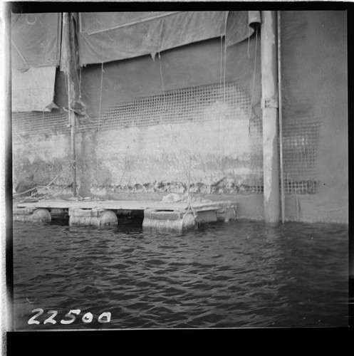 Big Creek, Huntington Lake Dams - Dam 1 Upstream face