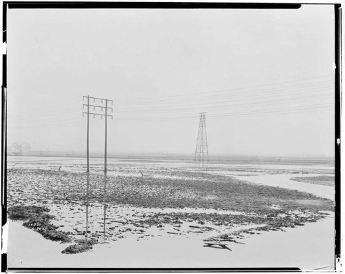 Long Beach Steam Station, Plant #3