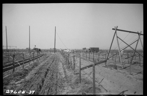 Magunden-Mesa Transmission Line